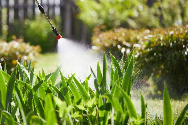 24/7 Emergency Wasp Removal experts in Oswego, IL
