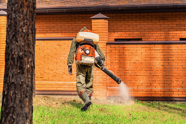 Top rated local Wasp Removal specialists in Oswego, IL